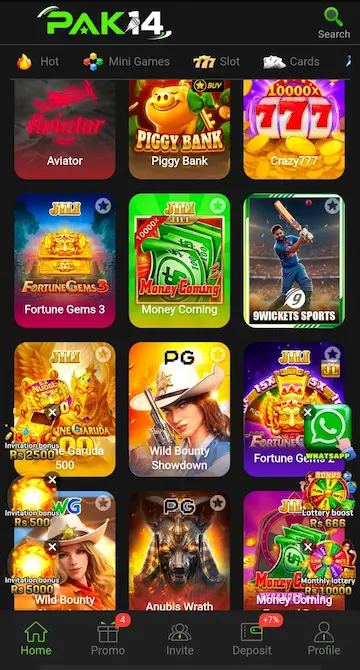 Pak14 Game